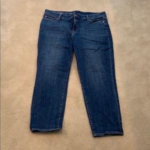 Talbots Flawless Girlfriend 16